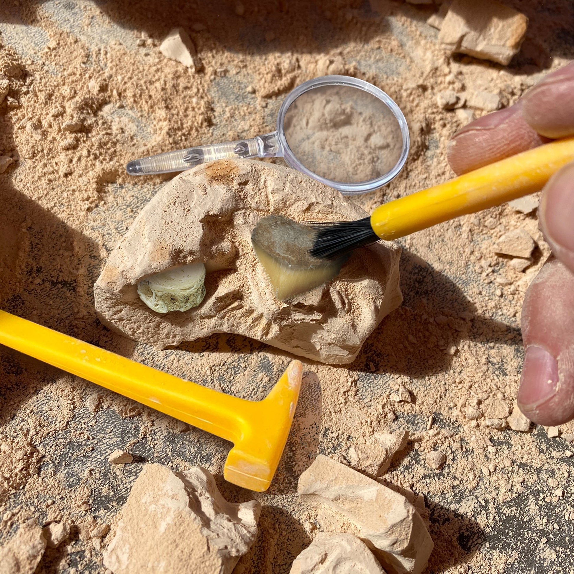 Educational Insights GeoSafari® Jr. Fossil Excavation Kit