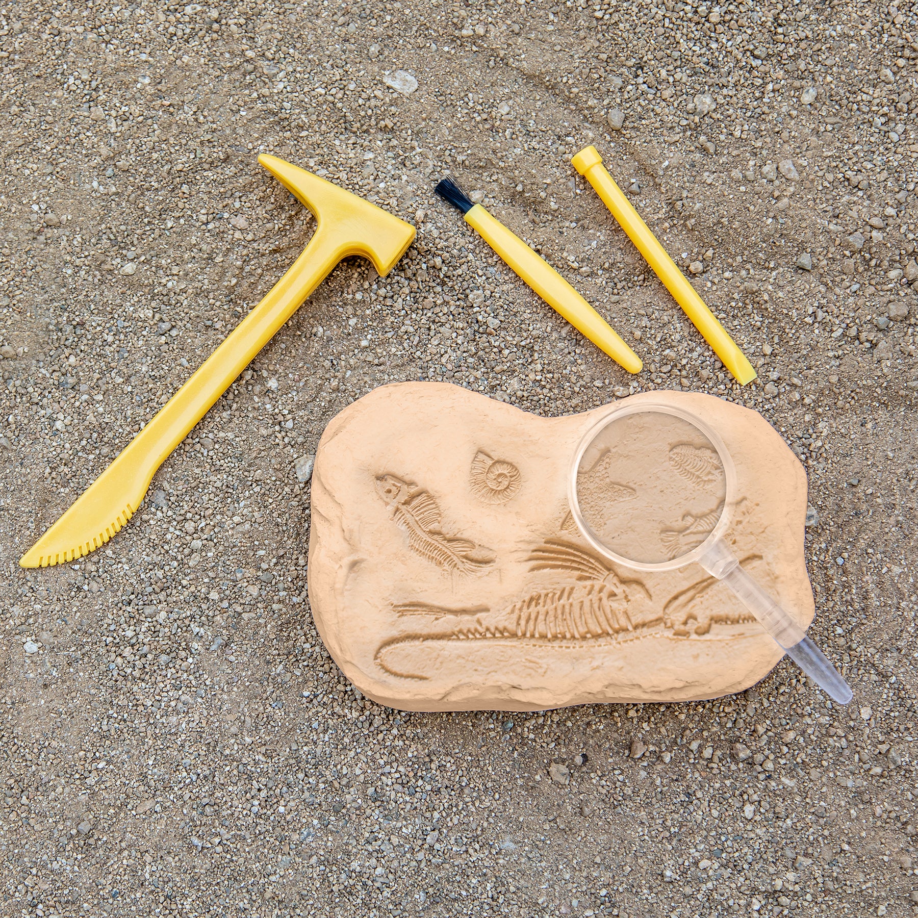 Educational Insights GeoSafari® Jr. Fossil Excavation Kit
