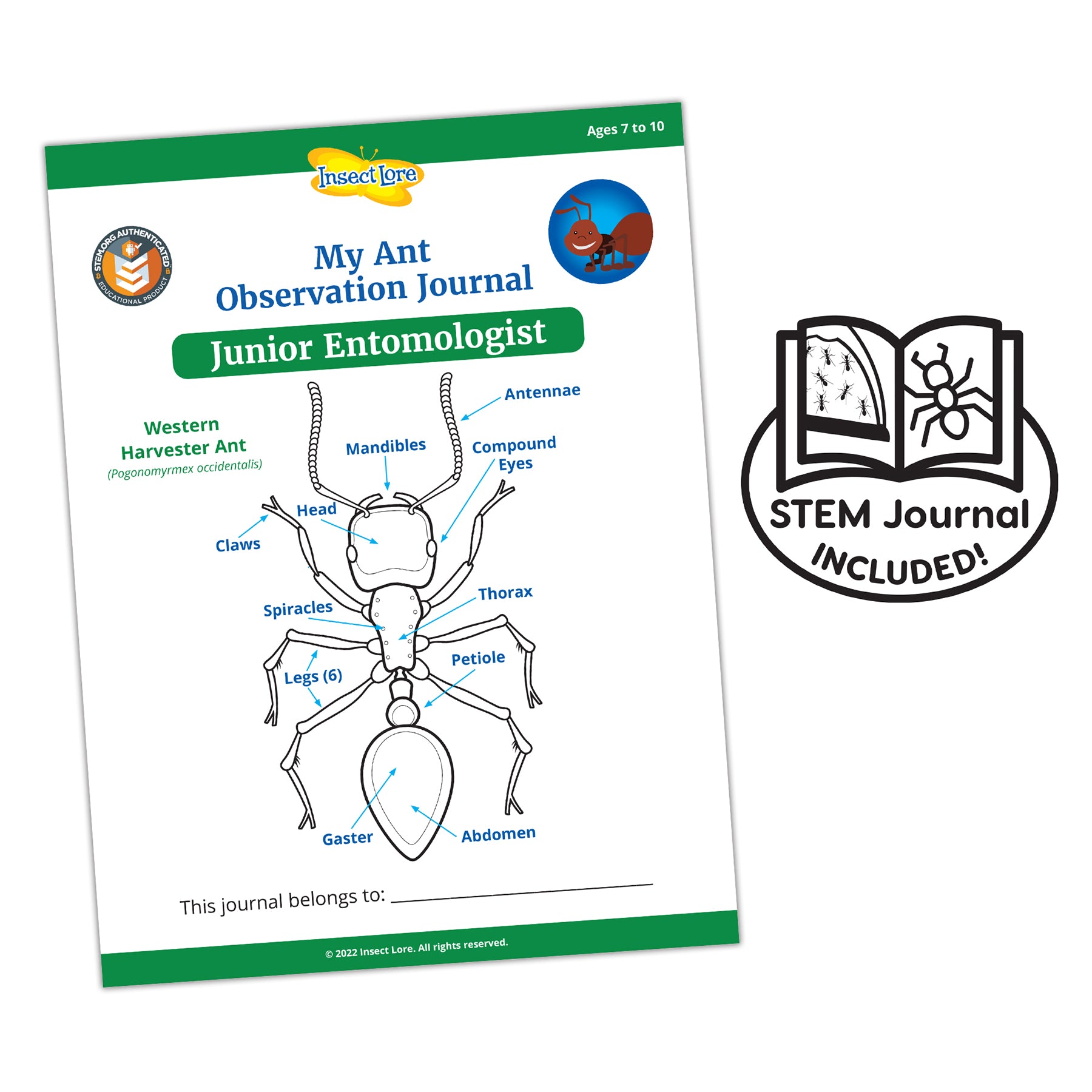 Insect Lore Ant Hill Ant Habitat – Interactive Science Kit