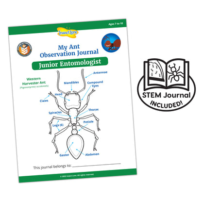 Insect Lore Ant Hill Ant Habitat – Interactive Science Kit