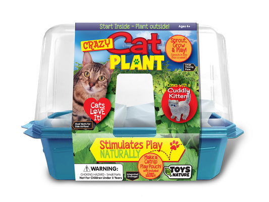 Crazy Cat Plant growing kit in blue plastic container with cat image on packaging, includes cuddly kitten plush toy, seeds to grow plants indoors