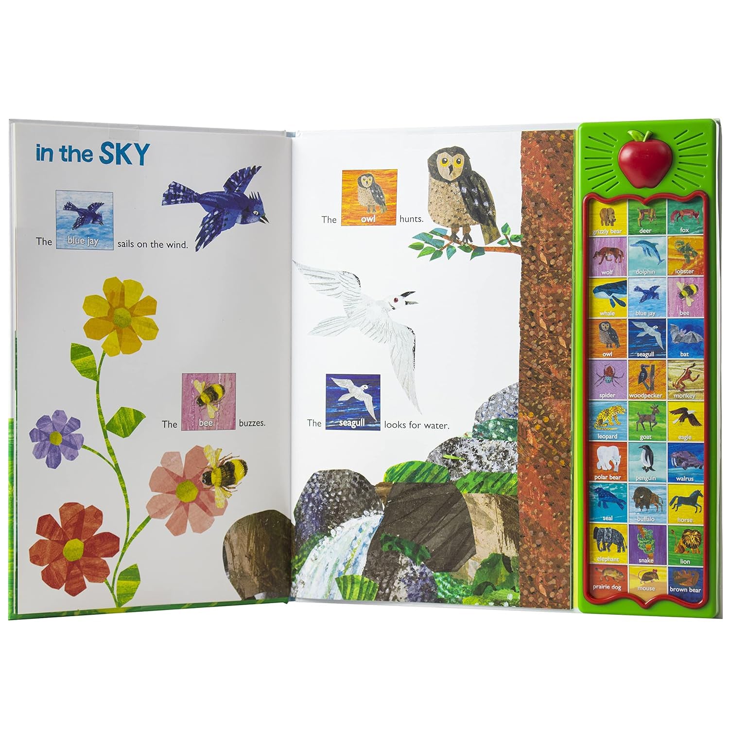 Phoenix International Publications The World of Eric Carle: Hear Bear Roar