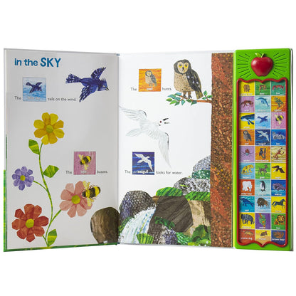 Phoenix International Publications The World of Eric Carle: Hear Bear Roar