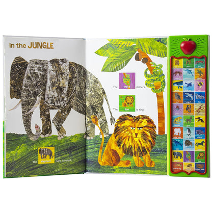 Phoenix International Publications The World of Eric Carle: Hear Bear Roar