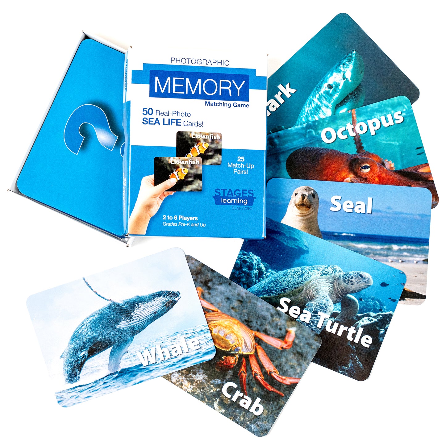 Stages Learning Sea Life Memory Matching Game - Photographic Card Set, Pack of 3