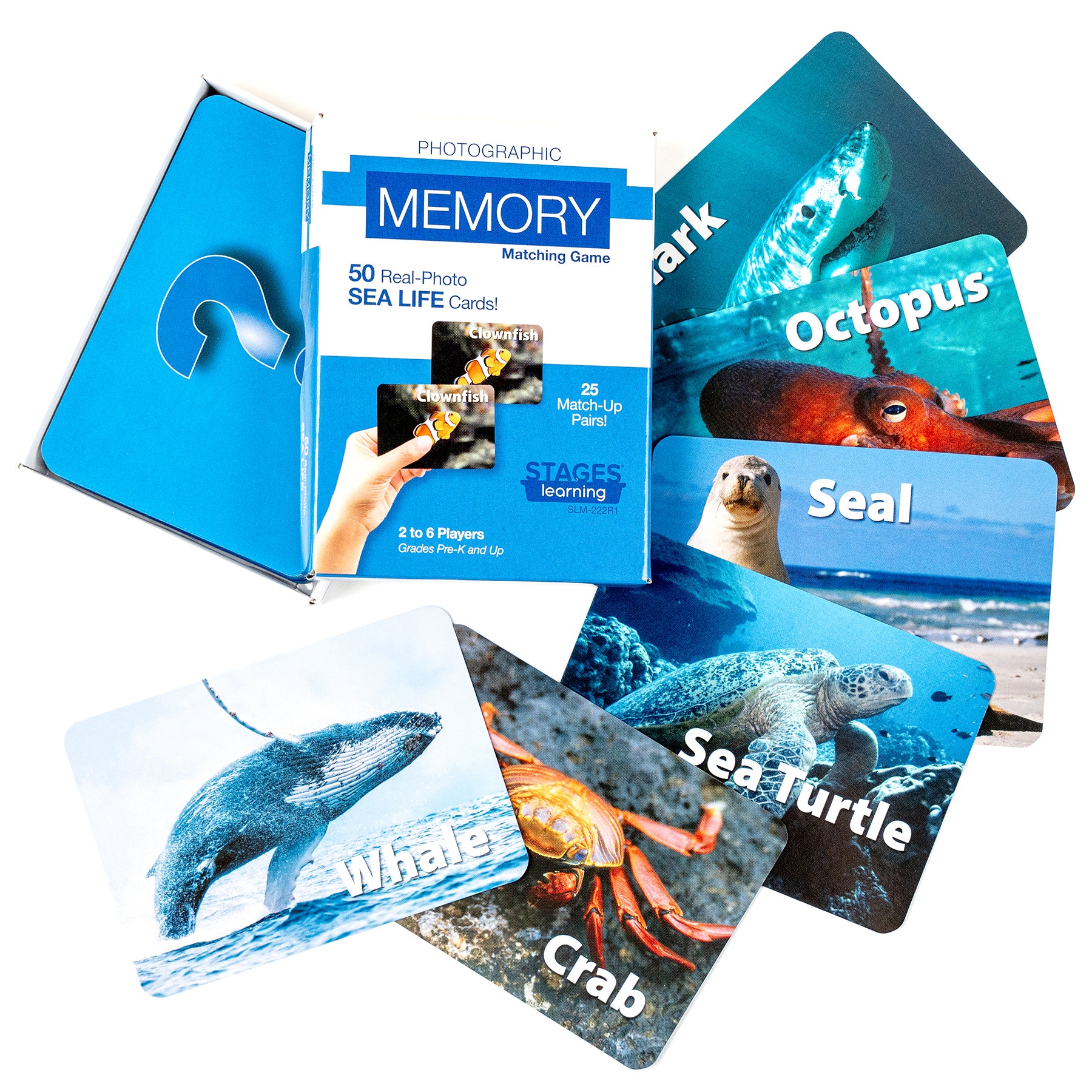 Stages Learning Sea Life Memory Matching Game - Photographic Card Set, Pack of 3