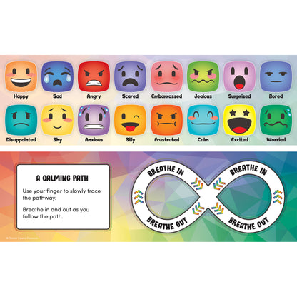 Teacher Created Resources Social-Emotional Learning Mood Meters - Set of 72