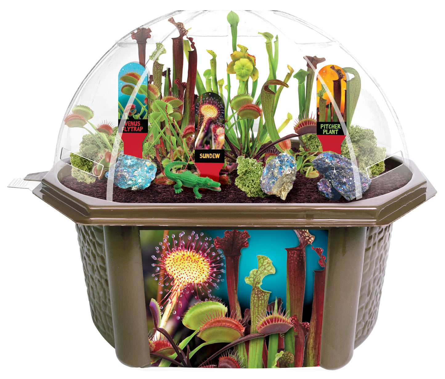 Biosphere terrarium dome kit displaying carnivorous plants including Venus flytrap, sundew, and pitcher plant with labeled red tags, moss, rocks, and educationa