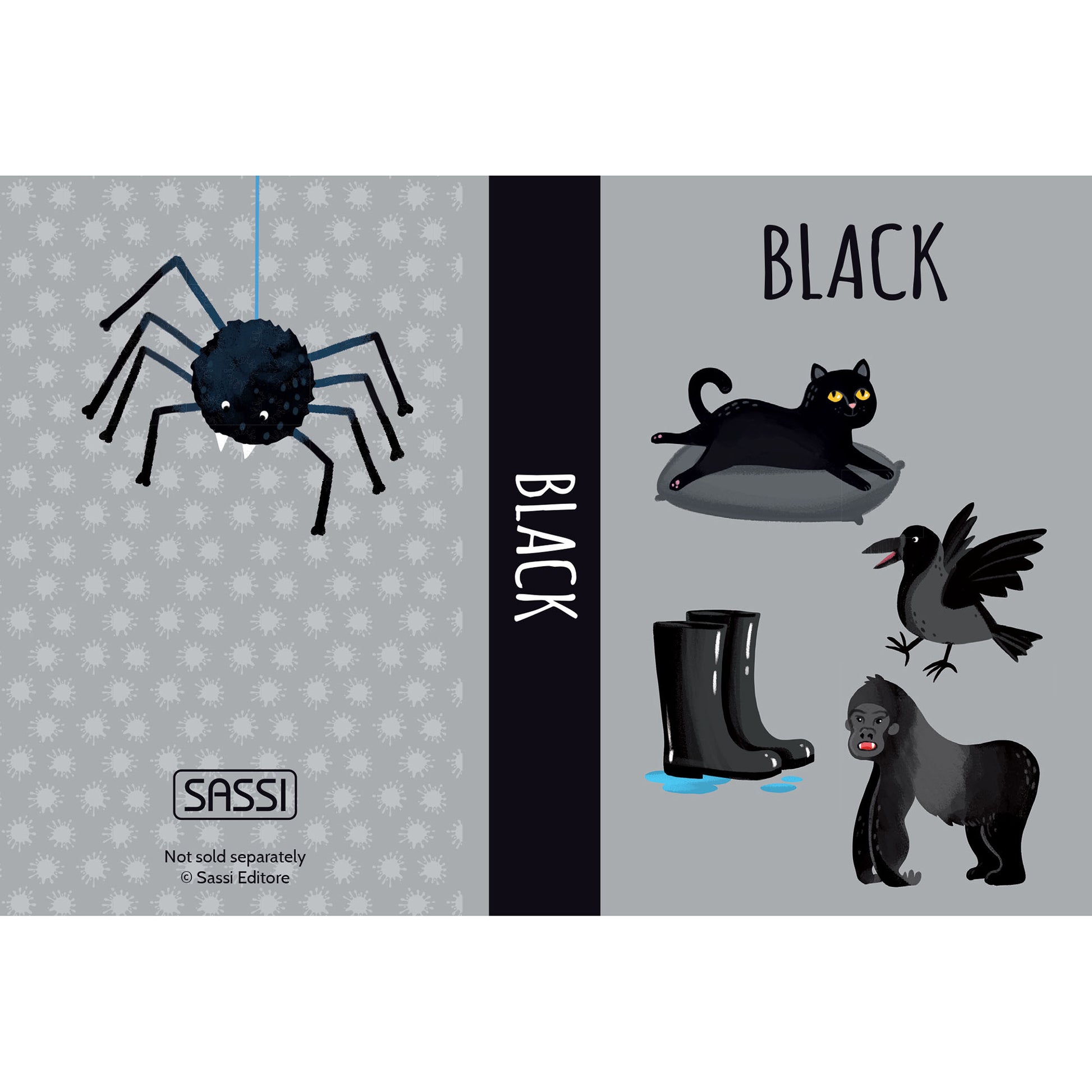 BLACK Book cover showing illustrated spider, black cat, raven, rain boots, and gorilla by Sassi Editore