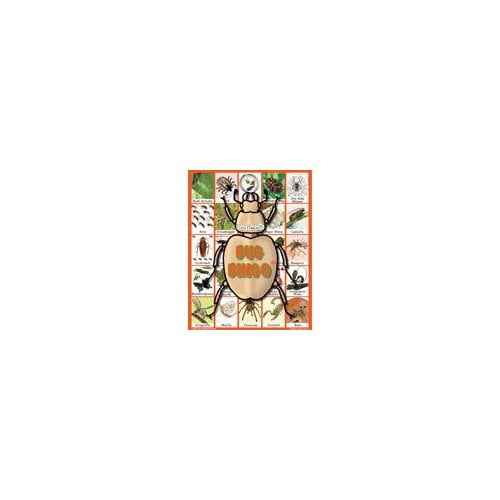 Bug Bingo game board featuring illustrated beetle in center surrounded by grid of insect and arachnid illustrations with orange border