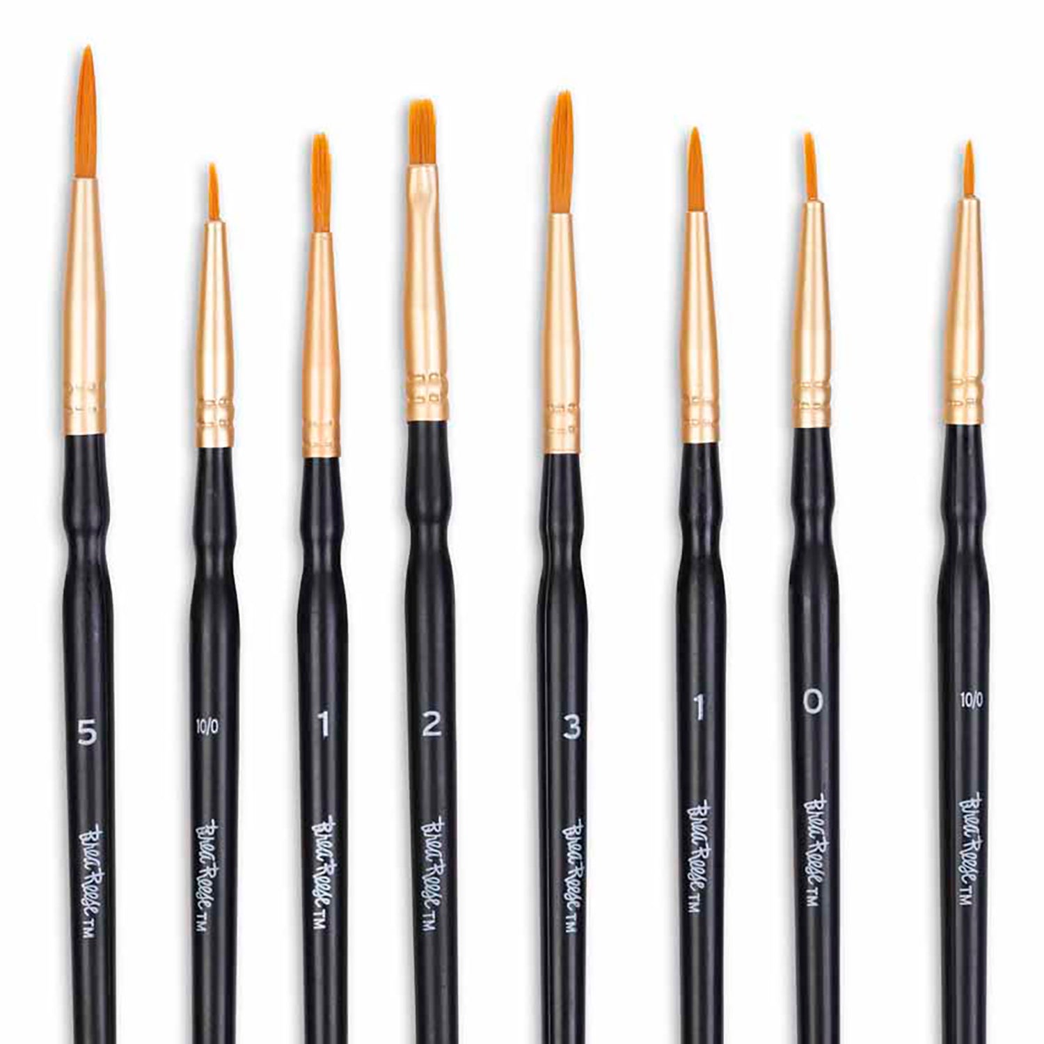 Brush Set: Detailed Pack - 10pc with numbered brushes, gold ferrules, black handles