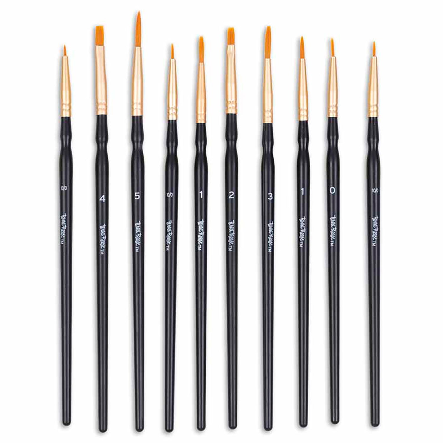 Brush Set: Detailed Pack - 10pc with gold ferrules and black handles