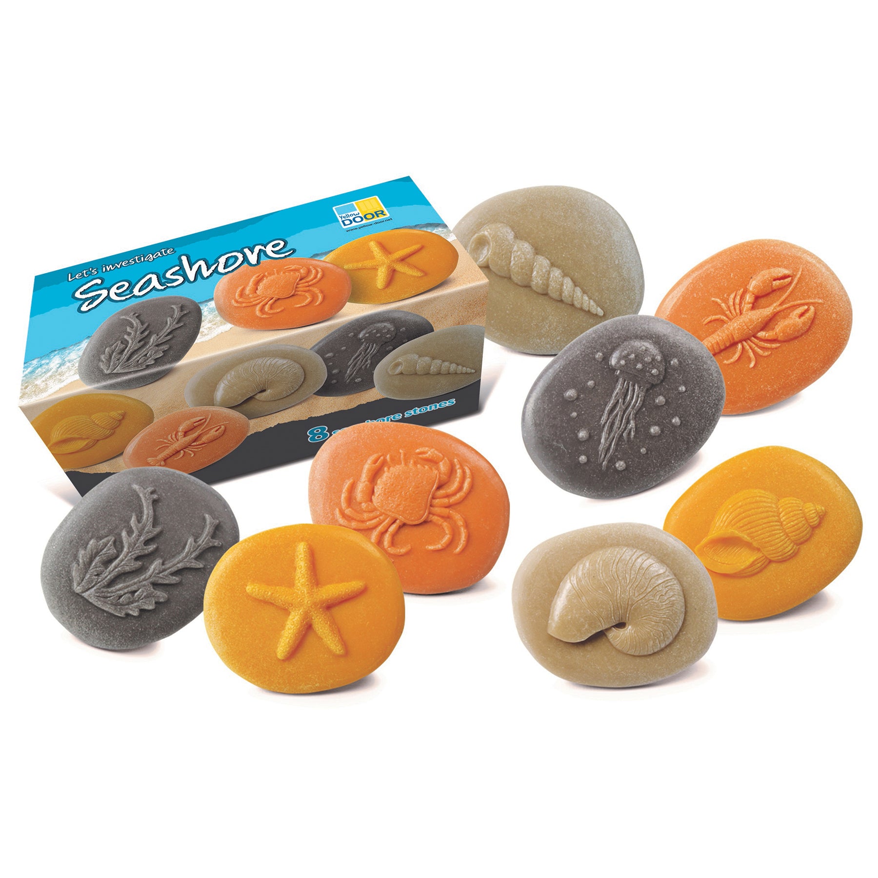 Let's Investigate Seashore set with eight stone-textured exploration figures in gray, tan, orange, and yellow, featuring embossed starfish, crab, shell, and jel