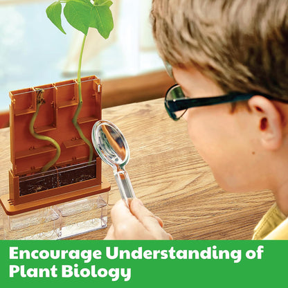 Green Science Grow-A-Maze plant biology kit with orange maze structure and sprouting bean plant