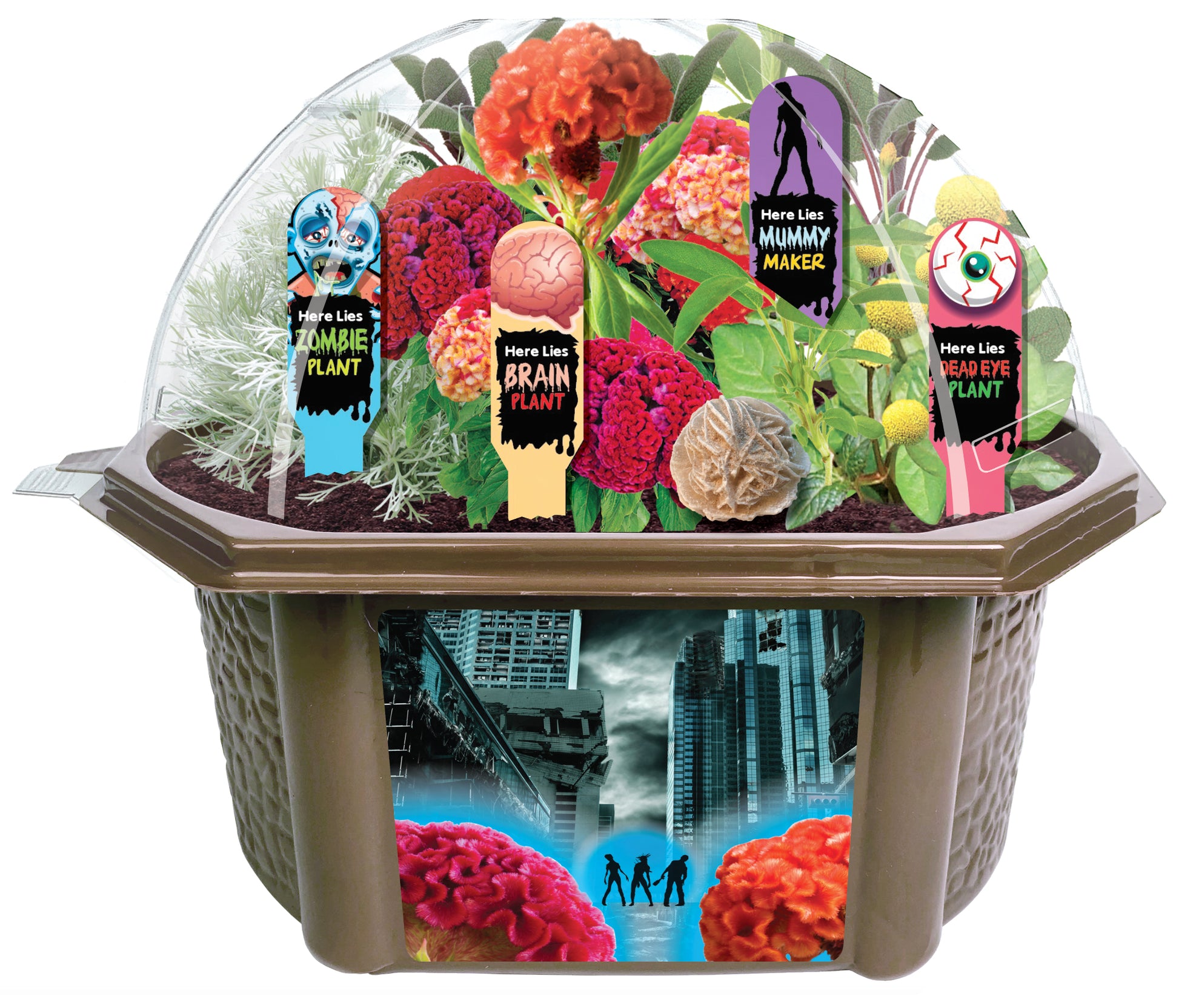 Zombie Apocalypse Biosphere Terrarium Kit with dome top containing colorful flowers and labeled plant markers (Zombie Plant, Brain Plant, Mummy Maker, Dead Eye