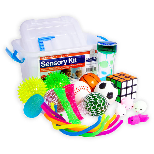 Sensory Kit contents displayed with clear plastic storage container, including textured balls, colorful fidget toys, mesh stress balls, Rubik's cube, soccer bal