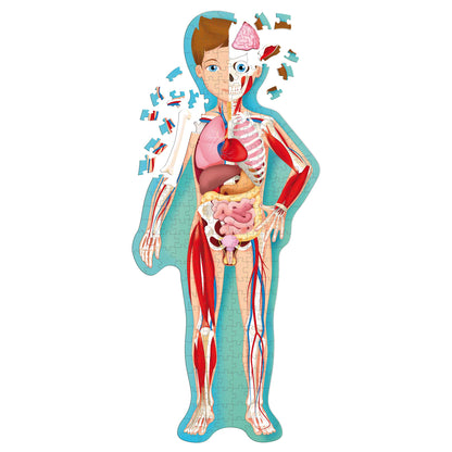 TLE: The Human Body puzzle toy showing anatomical systems in blue, red, and pink