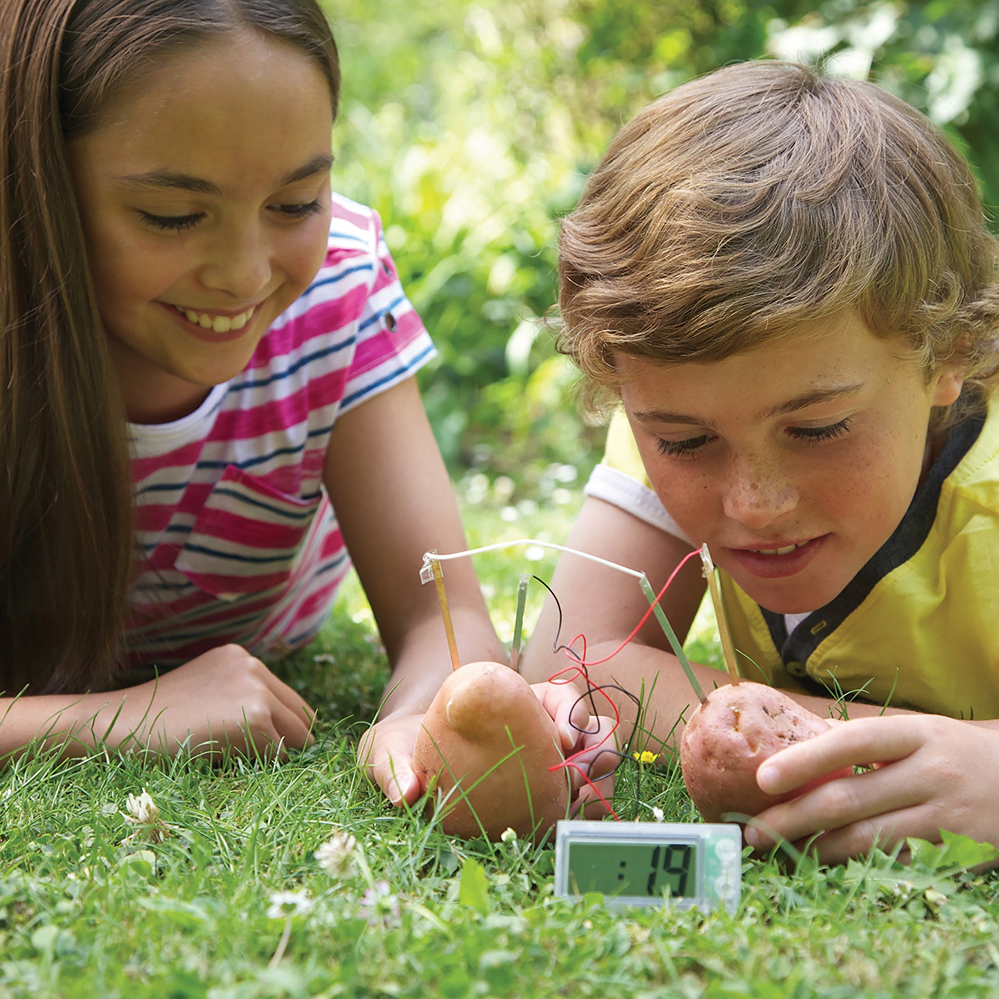 Green Science Potato Clock educational toy with two potatoes and wires on grass