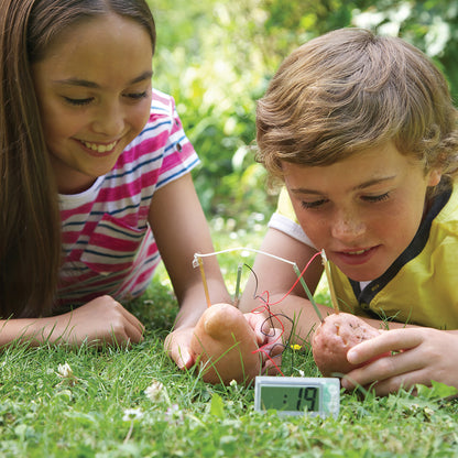 Green Science Potato Clock educational toy with two potatoes and wires on grass