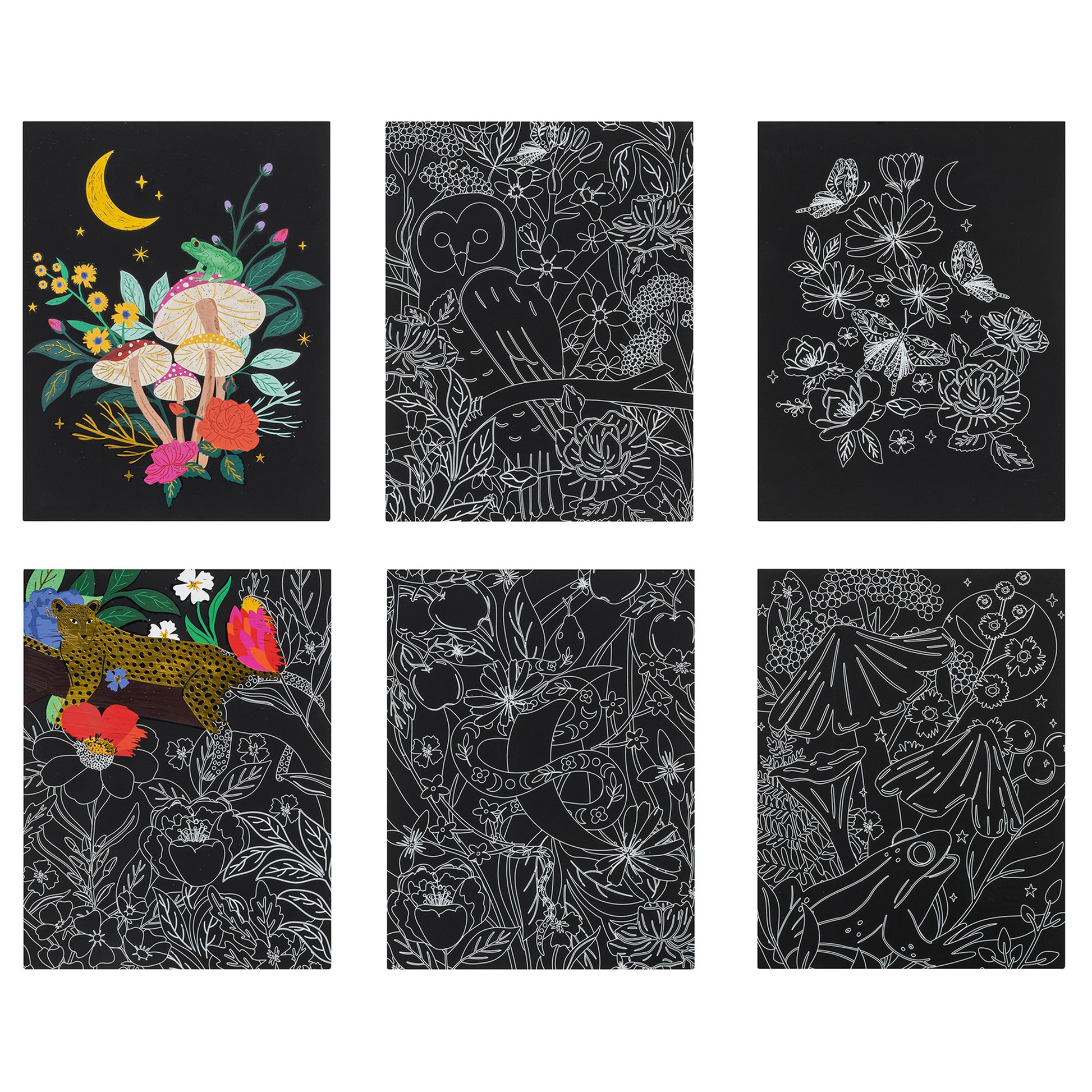 Scratch Art Kit: Mythical Animals with 6 black cards featuring colorful designs of owls, butterflies, leopards and fl...