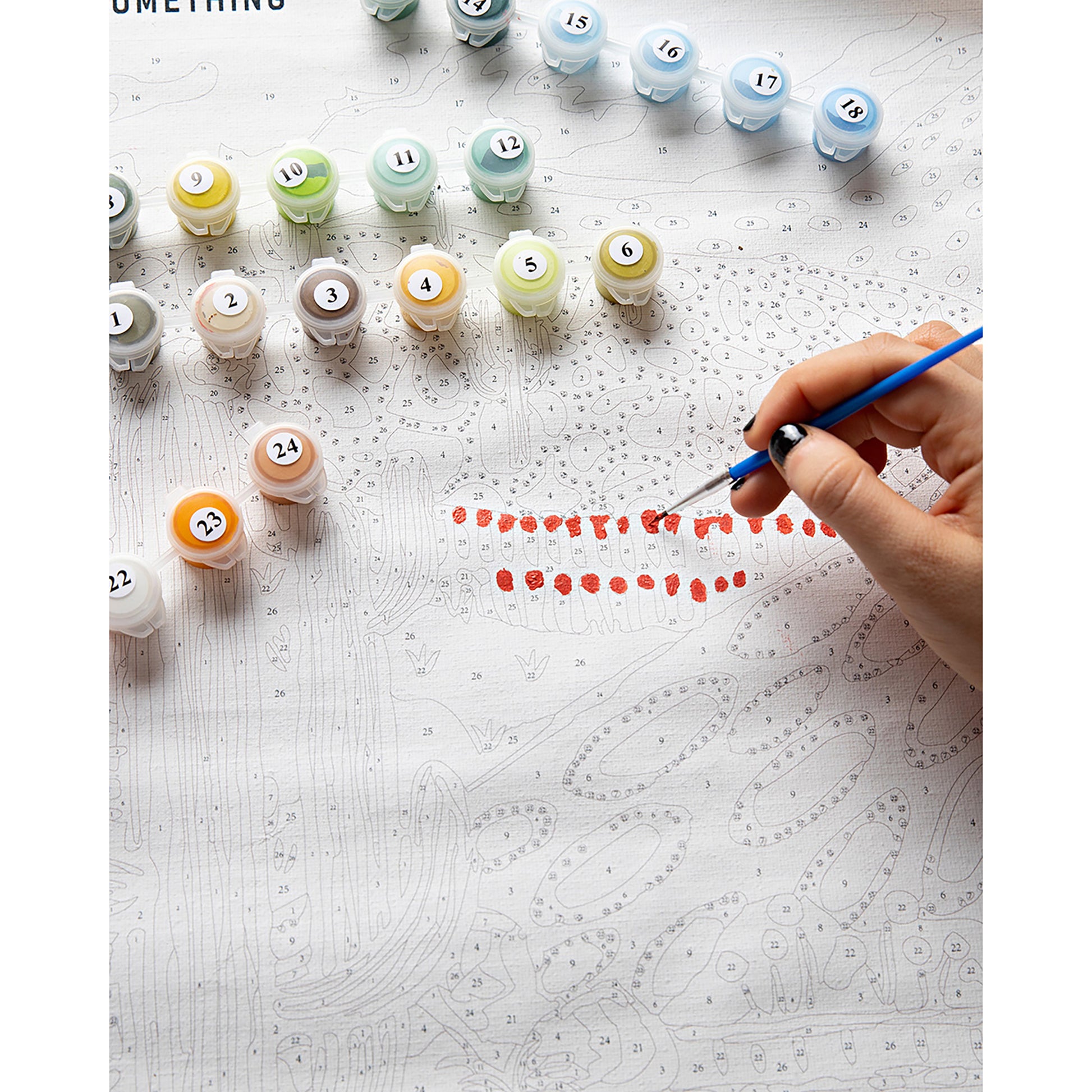 JOS Paint By Numbers Cactus Valley kit with numbered paint pots and blue brush