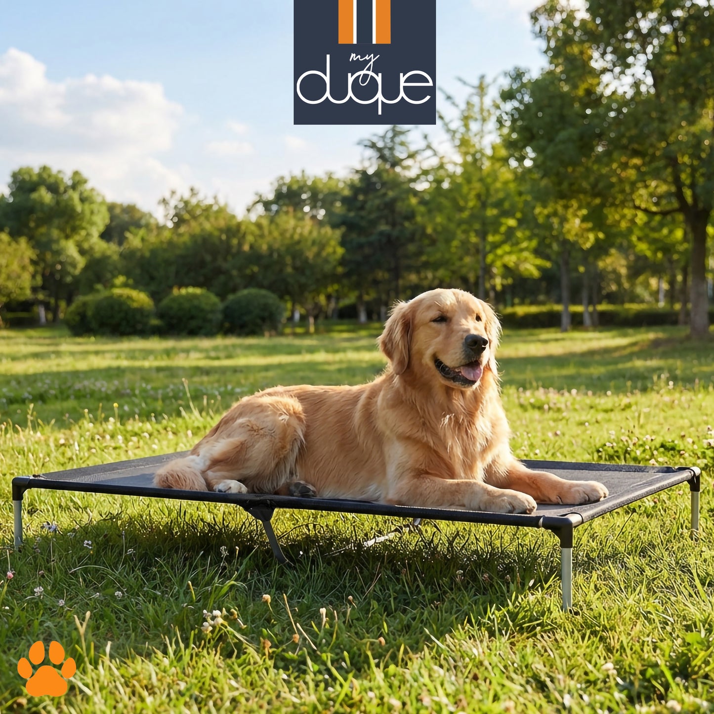 My Duque COOLA Pet Bed XLarge black dog lounger with golden retriever
