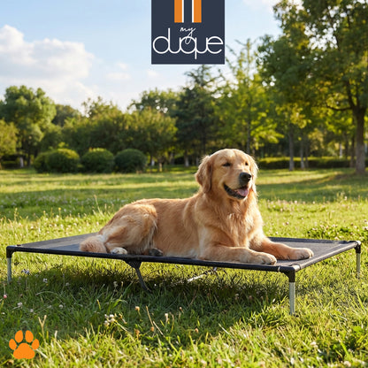 My Duque COOLA Pet Bed XLarge black dog lounger with golden retriever