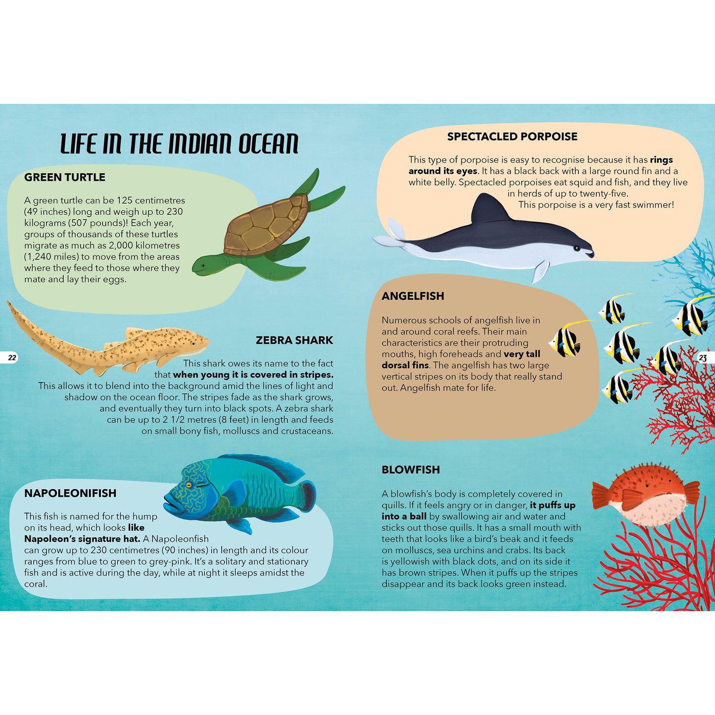 TLE: The Sea Interactive Storybook