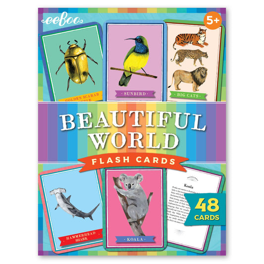 eeBoo Beautiful World 48-Piece Educational Flashcard Set box showing colorful animal cards including golden scarab beetle, sunbird, big cats, hammerhead shark,
