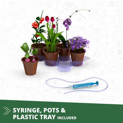 Engino Botanic Laboratory STEM kit with 4 potted plants, watering syringe, and plastic tray