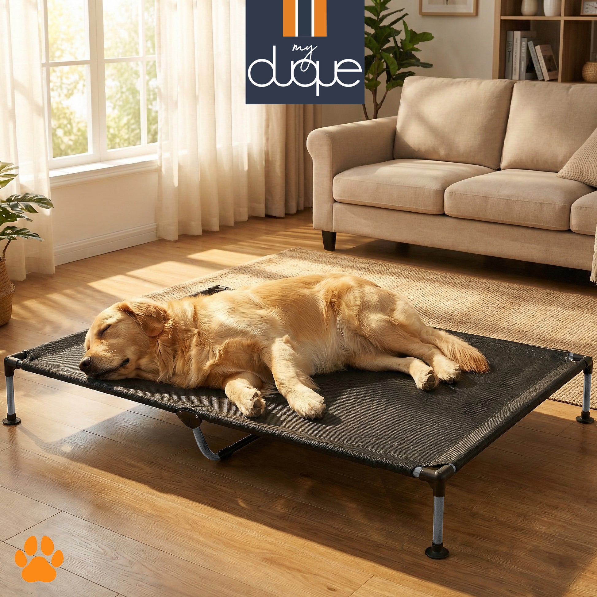 My Duque COOLA XLarge black pet bed with golden retriever lounging in bright living room