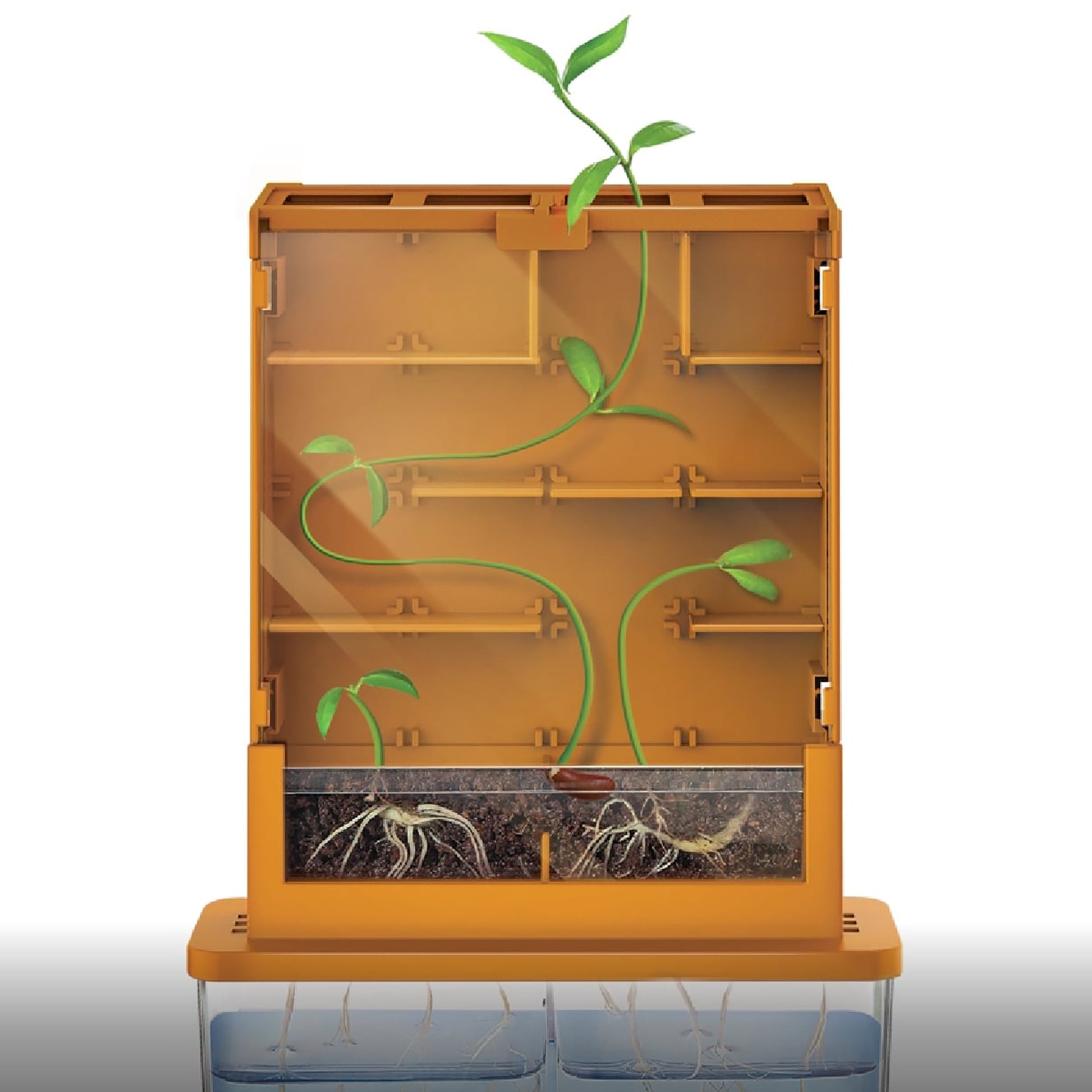 Green Science Grow-A-Maze toy with orange cabinet, shelves, and sprouting plant vines with roots
