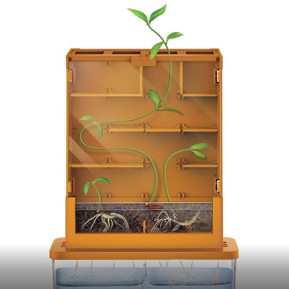 Green Science Grow-A-Maze toy with orange cabinet, shelves, and sprouting plant vines with roots