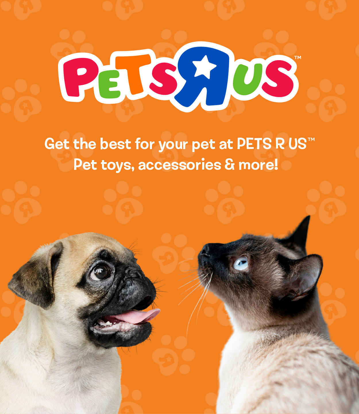 Pets R Us - Get the best for your pet at PETS R US. Pet toys, accessories & more!