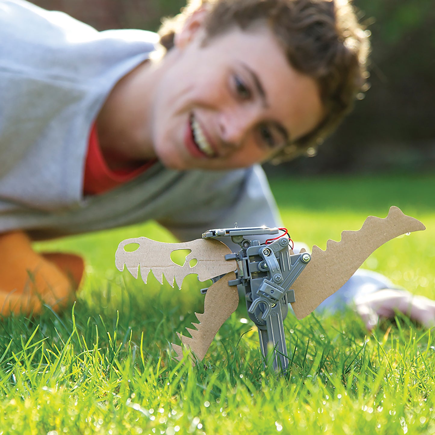 Solar Robot dinosaur toy with cardboard body and mechanical parts on grass
