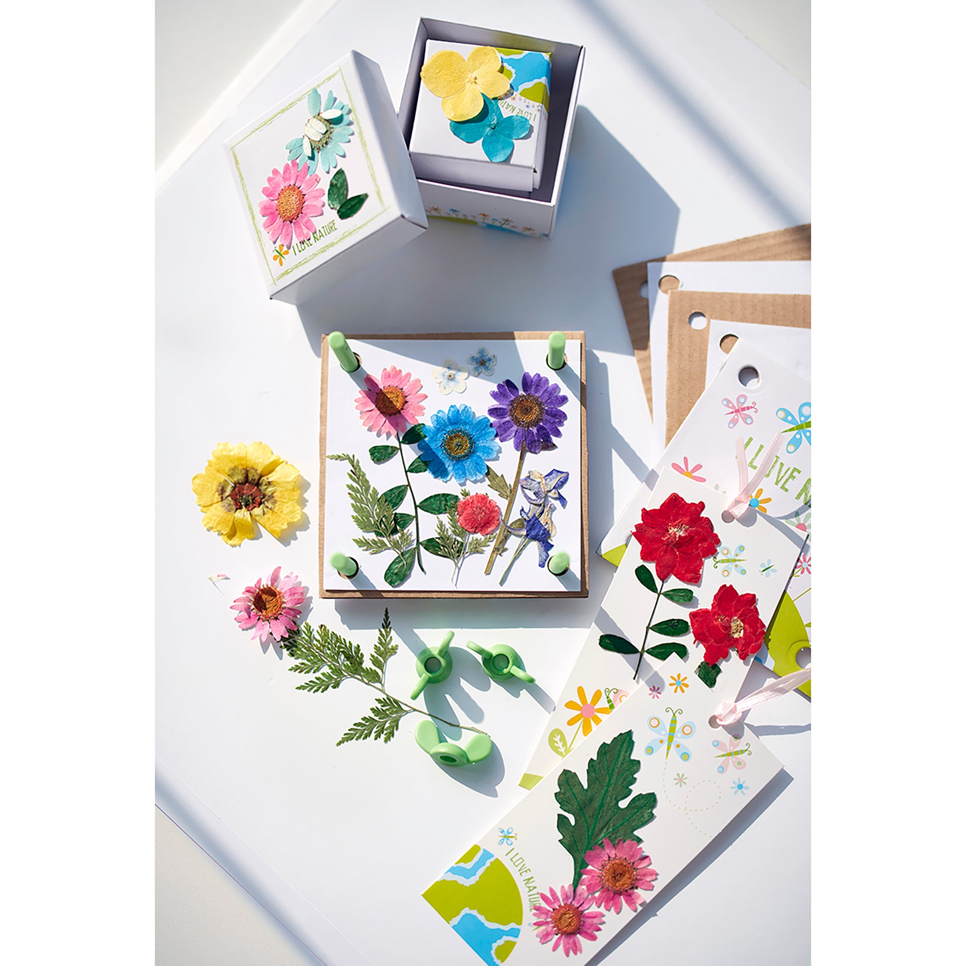 Green Creativity Pressed Flower Art kit with colorful dried flowers and craft cards