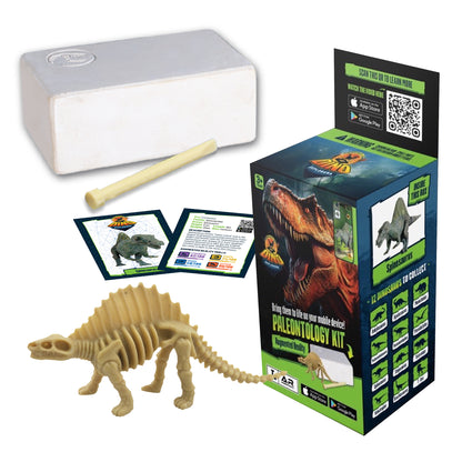Dino Explorers: AR Dinosaur XL & Brick Combo - 10" Spinosaurus Sound Figure