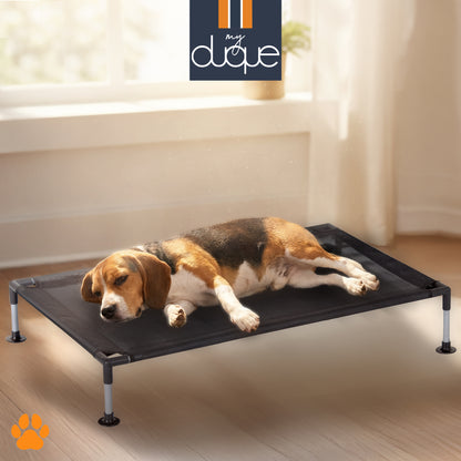 My Duque COOLA Pet Bed Large black dog lounger with beagle resting