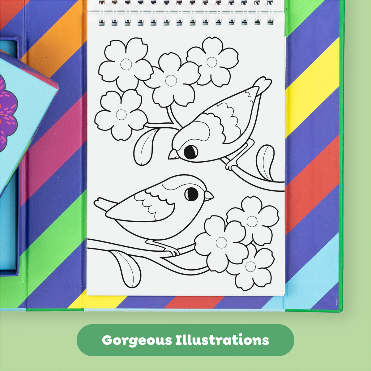 Color Change Magic Marker Coloring Set: Garden Friends coloring booklet page with two birds and flowers outline illus...