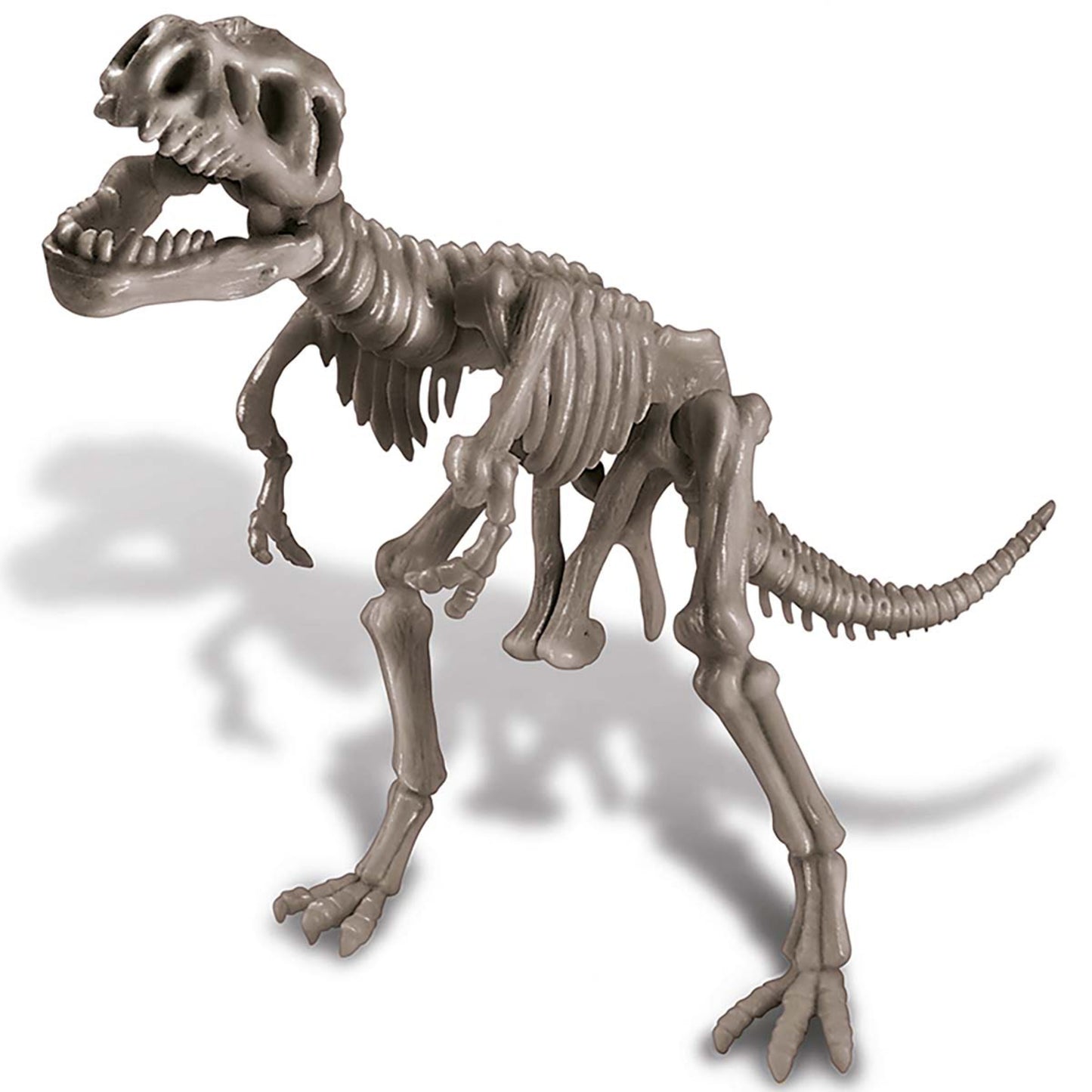 4M KidzLabs Dig A Dinosaur Skeleton Tyrannosaurus Rex fossil kit toy