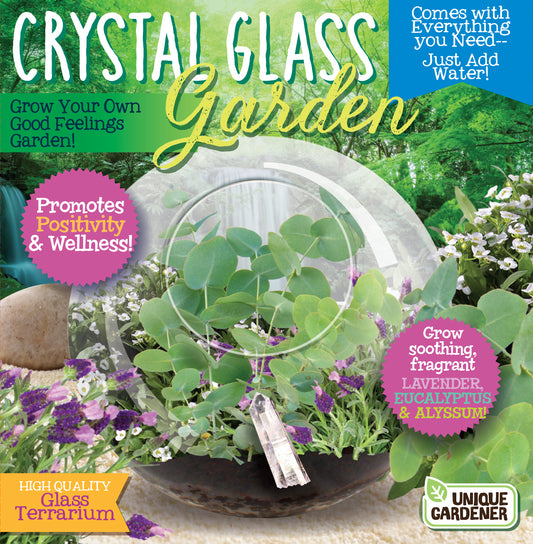 Crystal Glass Garden Terrarium Kit showing a clear glass dome filled with green plant leaves, purple and white flowers, soil, and growing supplies in a dark pot