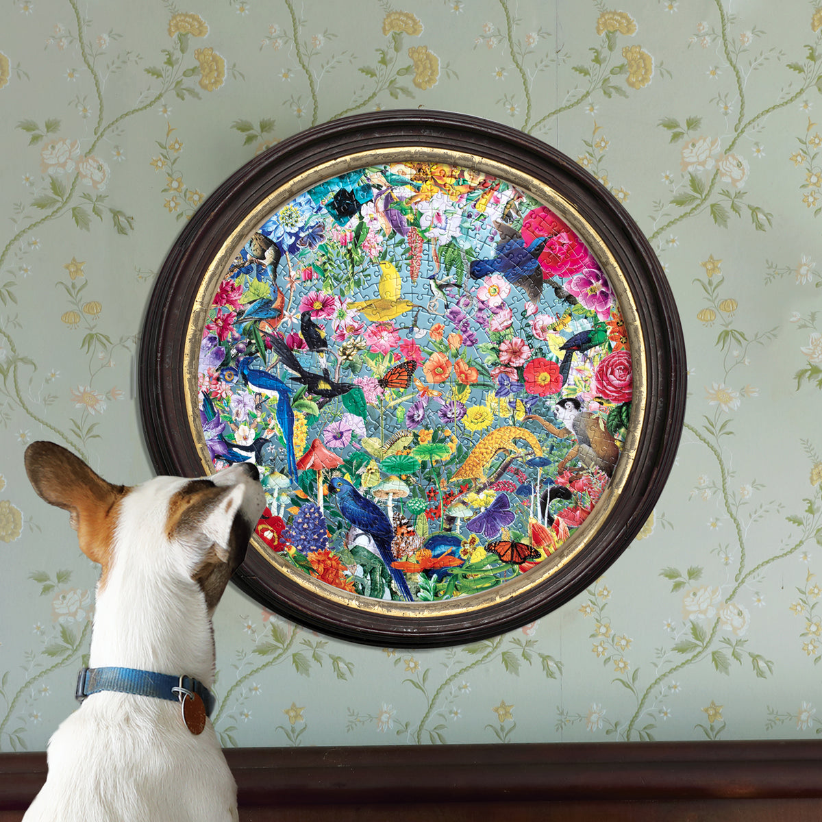 eeBoo Paradise Garden 500-piece round puzzle with colorful birds and flowers
