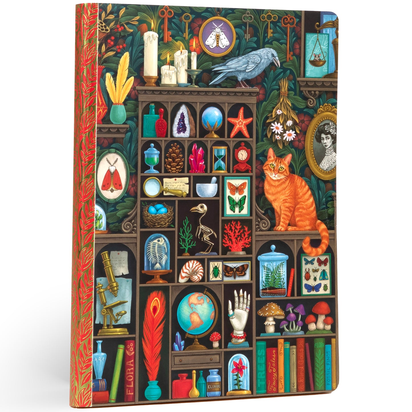 eeBoo Piece & Love Luxe Journal with Alchemist's Cabinet design featuring illustrated wooden shelves filled with curiosities including an orange cat, blue bird,