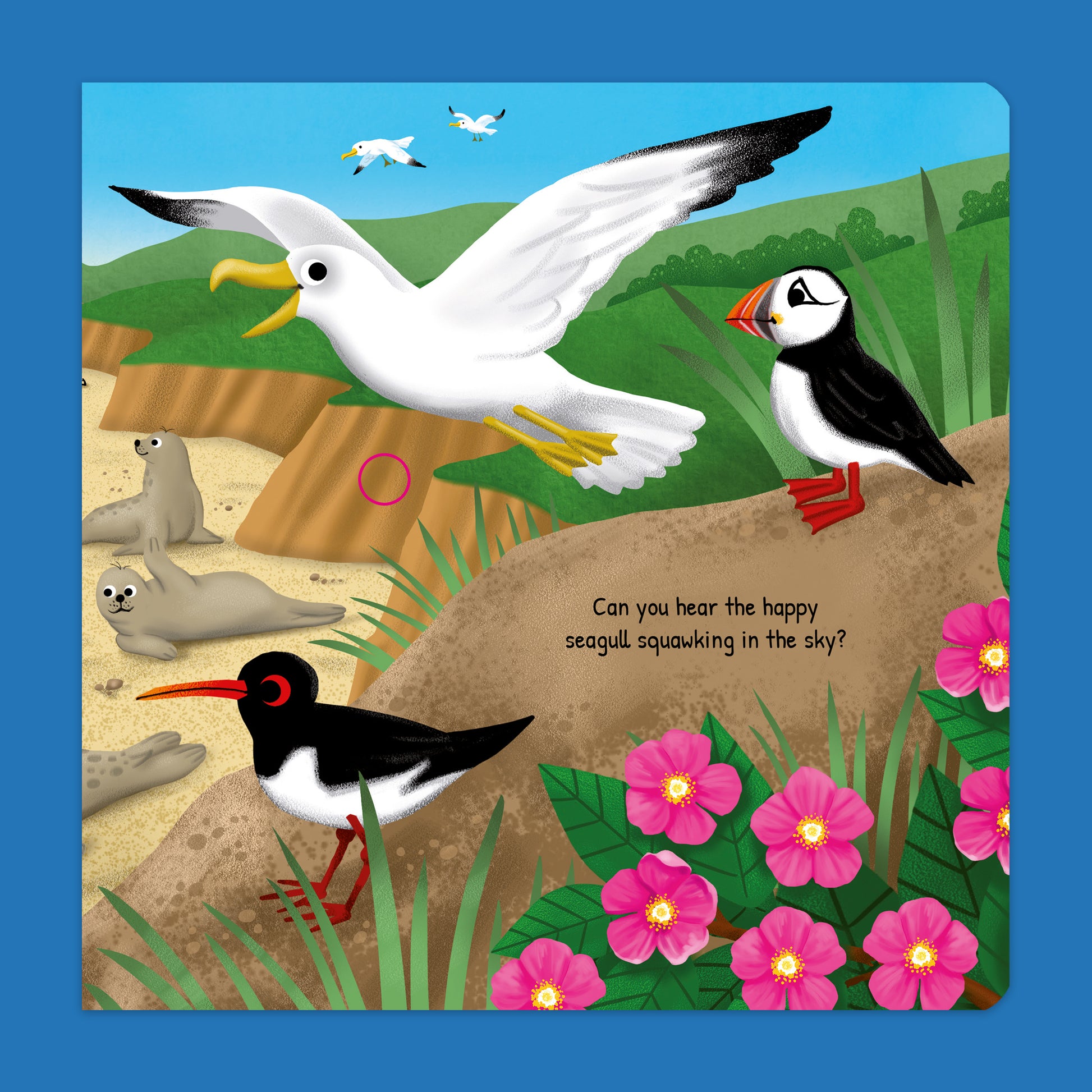 Listen & Discover Book - The Sea with colorful seagulls, puffins, and seals illustration