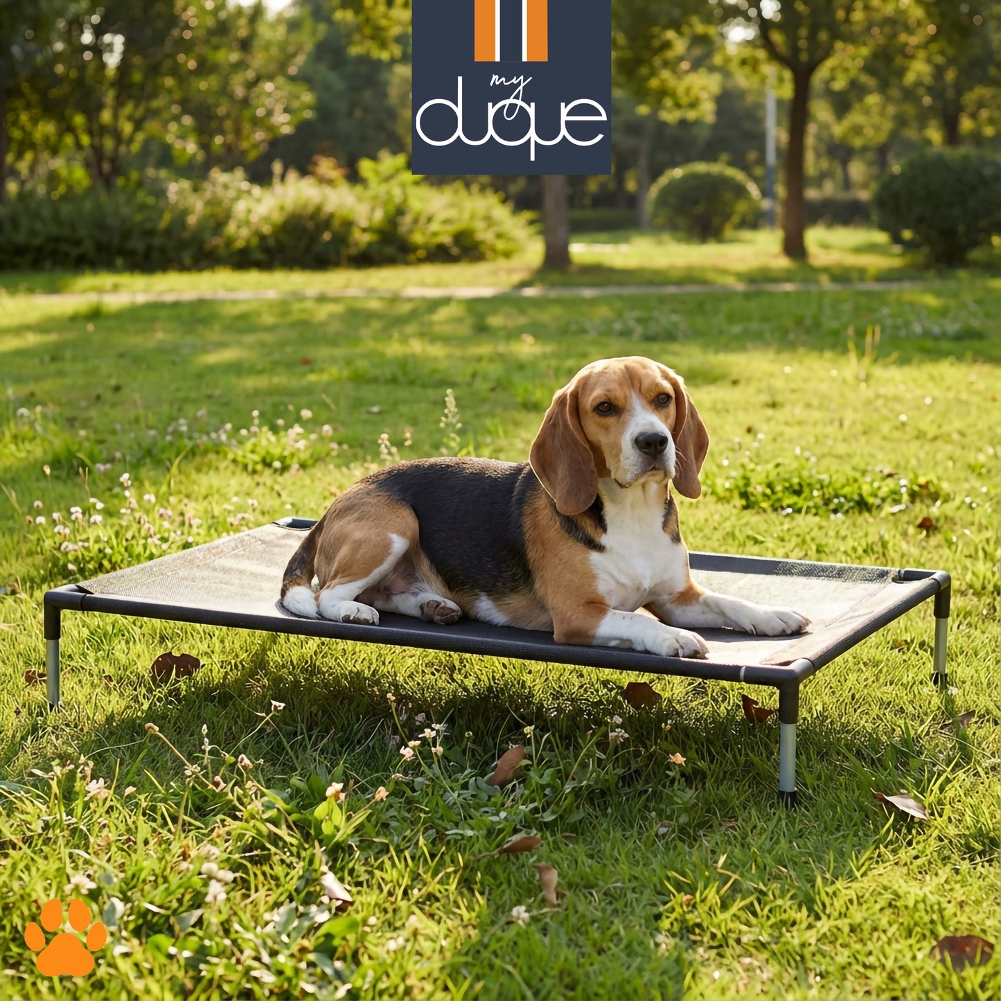 My Duque COOLA Pet Bed Large black dog lounger with beagle resting outdoors