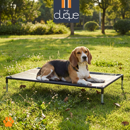 My Duque COOLA Pet Bed Large black dog lounger with beagle resting outdoors