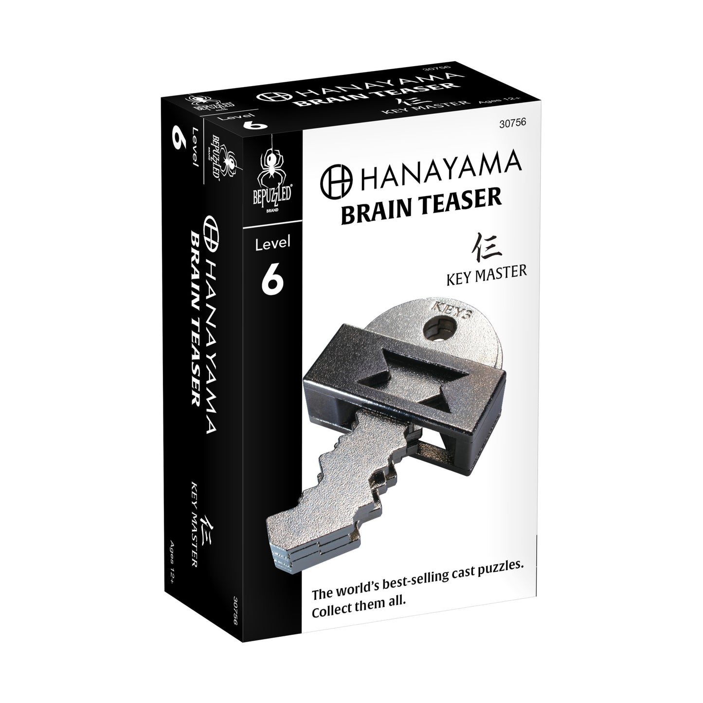 Hanayama Level 6 Cast Puzzle - Key Master Challenge