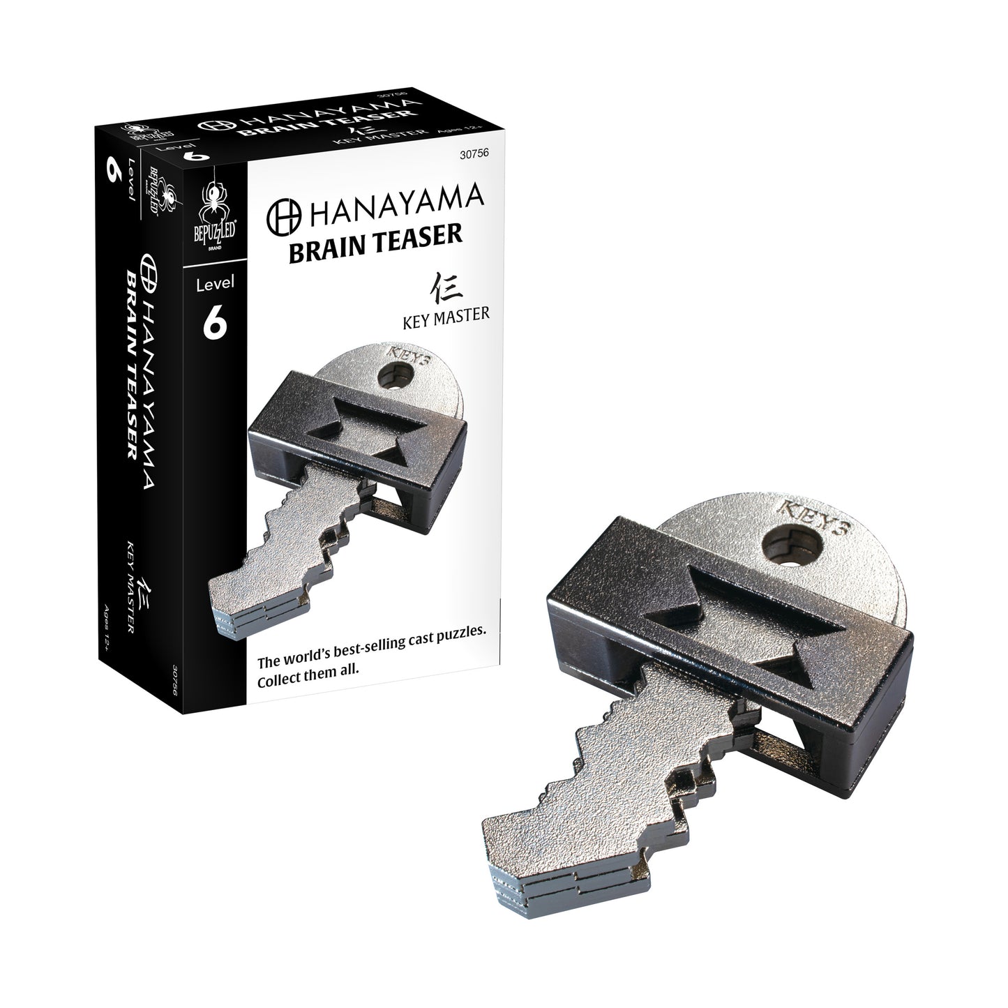 Hanayama Level 6 Cast Puzzle - Key Master Challenge