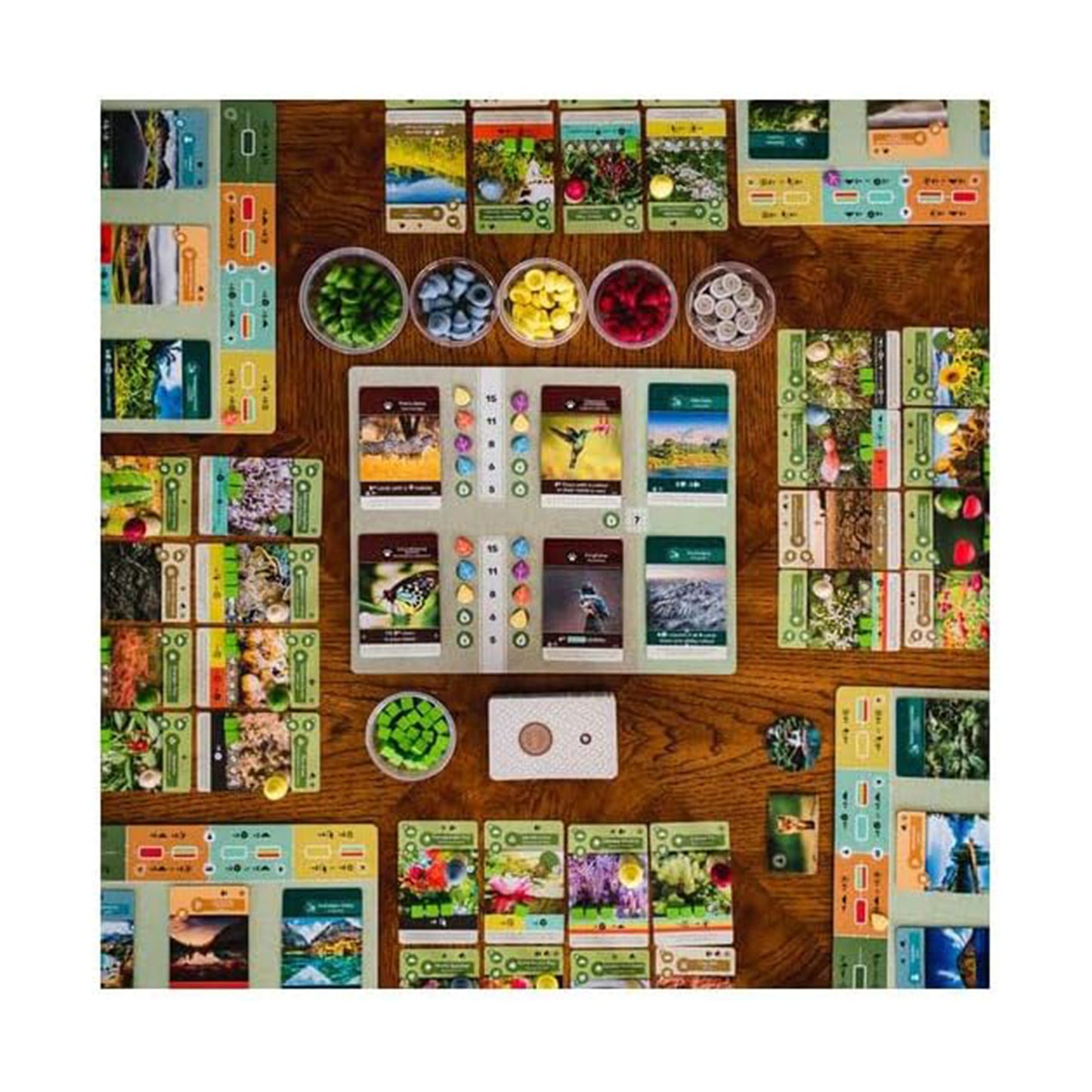 Earth board game with colorful plant cards, tokens, and resource bowls on wooden surface
