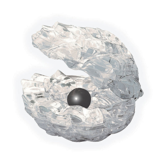 Transparent crystal puzzle with interlocking clear pieces assembled into a shell-shaped form with a dark sphere nestled in the center